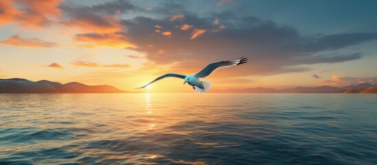 Bird flying over sea at sunset With copyspace for text
