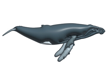 Whale in 3D image on a transparent background