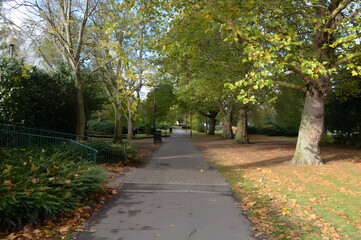 Fototapeta na wymiar Path through a park in Norwich