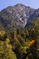 Beautiful Utah mountains in fall