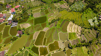 Fototapeta premium Aerial view of rice terraces and agricultural land in the tropics. Sumatra. Indonesia.