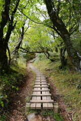 Mt. Tonodake is the highest peak along the Omote Ridge  that runs between Mt. Oyama and Nabewari Ridge . It has easy access, being about 80 minutes to Shibusawa Station from both Shinjuku and Tokyo.