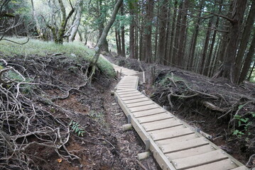 Mt. Tonodake is the highest peak along the Omote Ridge  that runs between Mt. Oyama and Nabewari Ridge . It has easy access, being about 80 minutes to Shibusawa Station from both Shinjuku and Tokyo.