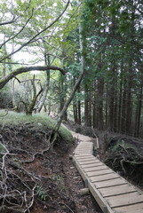 Mt. Tonodake is the highest peak along the Omote Ridge  that runs between Mt. Oyama and Nabewari Ridge . It has easy access, being about 80 minutes to Shibusawa Station from both Shinjuku and Tokyo.