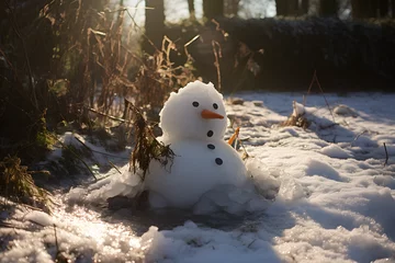 Fotobehang snowman melting in the sun © sam