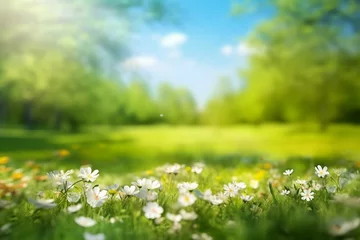  Beautiful blurred spring background nature with blooming glade, trees and blue sky on a sunny day. generative ai. © SEUNGJIN