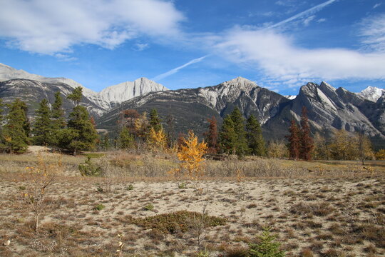 Rocky Mountains, Jasper National Park, Alberta