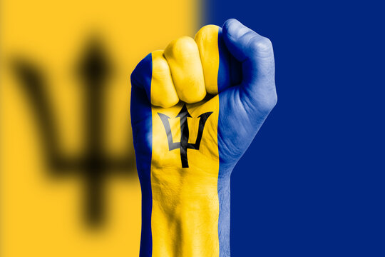 Man hand fist of BARBADOS flag painted. Close-up.