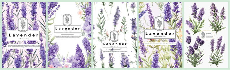 Set of Elegant Lavender, Realistic Vector Illustrations of Flowers, Leaves, and Plants for Backgrounds, Patterns, and Wedding Invitations. - obrazy, fototapety, plakaty