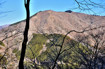 丹沢山地の桜丸より伊勢沢ノ頭を望む
