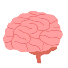 Illustration of brain.