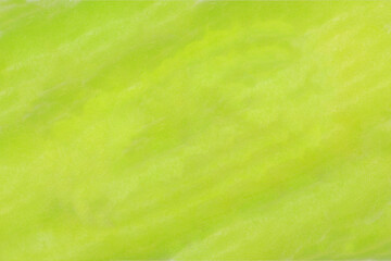 Obraz na płótnie Canvas Green abstract background or wallpaper. Pastel color style and Art painted wall. Blurred picture