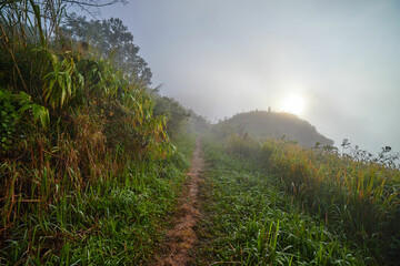 Fog in early morning over the mountain at Phu Chi Fah in Thailand