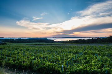 Sunset over Lake Michigan, near Traverse City.