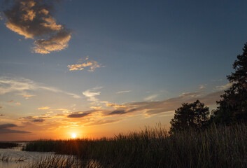Sun setting through vegetation along lake