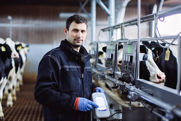 A farmer takes care of his cows. Private farming. Milk production and livestock farming. Breeding cattle. Everyday chores on a home farm.