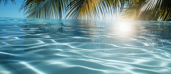 Fototapeta na wymiar Tropical tree silhouette in pool at noon with palm shadow on water surface With copyspace for text