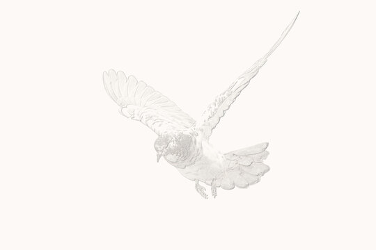 3D rendering of a bas-relief sculpture of a pigeon spreading its wings in the air. 3D illustration of a pigeon.