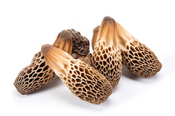 Fresh morel mushrooms on wooden background. Shallow dof.