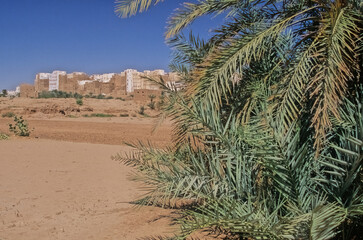 Fototapeta na wymiar Wadi Hadhramaut