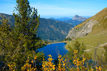 Blich von der Landsberger Hütte auf den Traualpsee mit herbstlich gefärbten Blättern