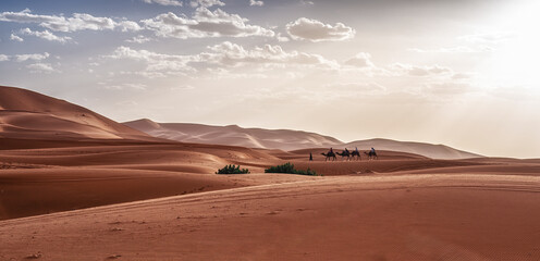 Fototapeta na wymiar Camel caravan with people going through the sand dunes in the Sahara Desert. Morocco, Africa.