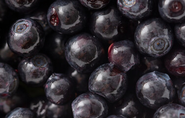 Close-up of blueberries as a background. Macro