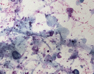 Bilberry stains on white paper. Abstract background
