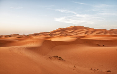 Fototapeta na wymiar Morocco. Sand dunes of Sahara desert