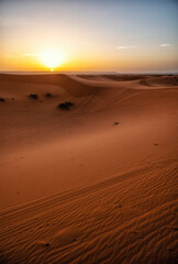 Picturesque dunes in the Erg Chebbi desert, Morocco