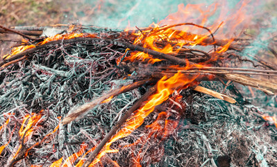 Burning firewood in a campfire, close-up
