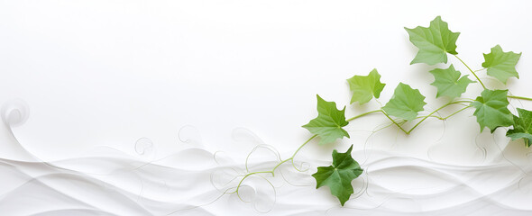 Branch with grape illustration isolated on white background. Grape with leaves. Fruit  healthy food.