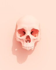 Human skull death Halloween peach rose pink illustration skeleton anatomy dead symbol 3d illustration render digital rendering