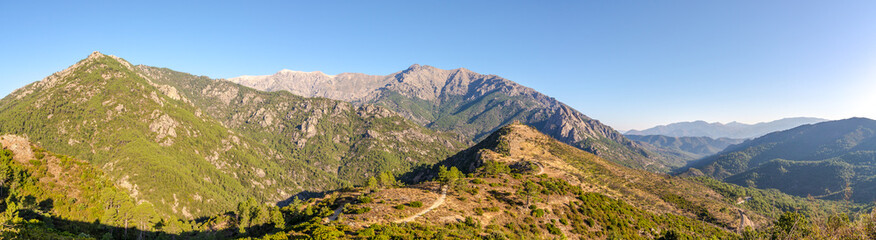 Fototapeta na wymiar Panoramic view at the mountain massif from the road to Vivario - Corsica,France