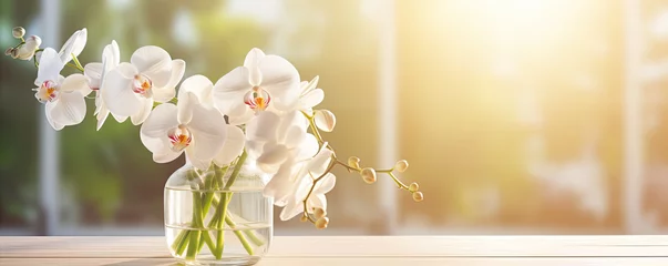  beautiful white orchid flowers blooming at autumn time. banner © Michal