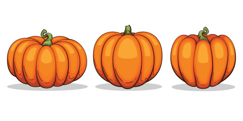 Pumpkins illustration isolated on white. Autumn Thanksgiving Pumpkins arrangement on white background. Colorful Pumpkins Realistic Illustration 