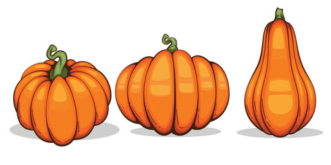 PrintPumpkins illustration isolated on white. Autumn Thanksgiving Pumpkins arrangement on white background. Colorful Pumpkins Realistic Illustration 