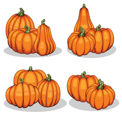 PrintPumpkins illustration isolated on white. Autumn Thanksgiving Pumpkins arrangement on white background. Colorful Pumpkins Realistic Illustration 