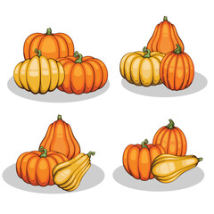 PrintPumpkins illustration isolated on white. Autumn Thanksgiving Pumpkins arrangement on white background. Colorful Pumpkins Realistic Illustration 