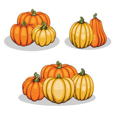 PrintPumpkins illustration isolated on white. Autumn Thanksgiving Pumpkins arrangement on white background. Colorful Pumpkins Realistic Illustration 
