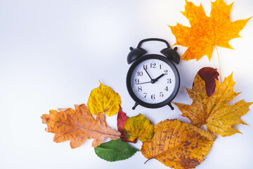 Alarm clock on white background and autumn leaves of different colors.