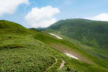 Naklejka premium 夏山の風景