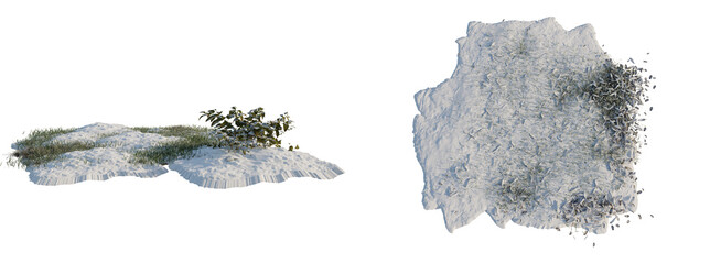 tree and grass with snow in transparent background