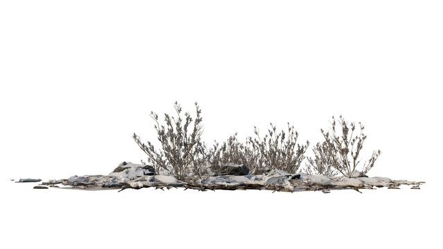 tree and grass with snow in transparent background