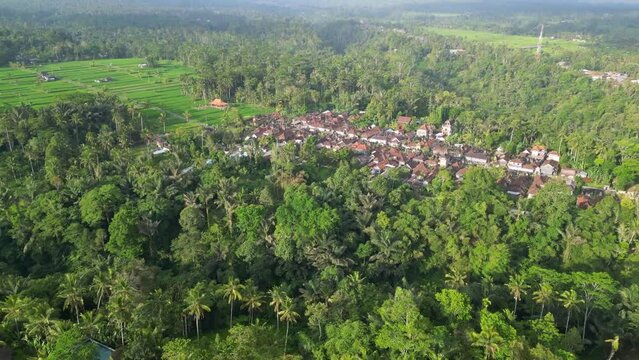 Aerial shot of a typical village in the hinterland of the island of Bali (Indonesia) surrounded by green rainforest with very tall trees and rice fields on a cloudy day.