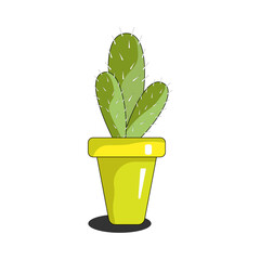 Cactus flower in vector