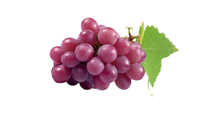Fototapeta premium Grape isolated on white background with clipping path