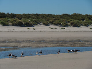 Sommer am Strand von Langeoog