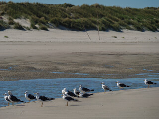 Sommer am Strand von Langeoog