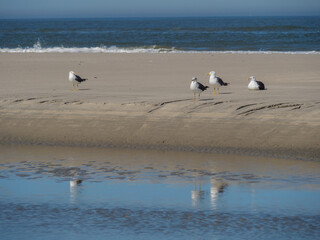 Sommer am Strand von Langeoog